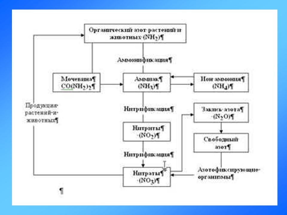 Учение о биосфере 2