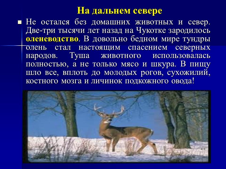 Одомашнивание животных