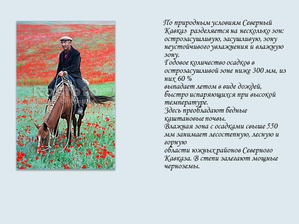 Северо-Кавказский экономический район