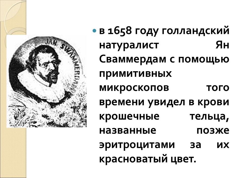 Кровь ее состав и функции