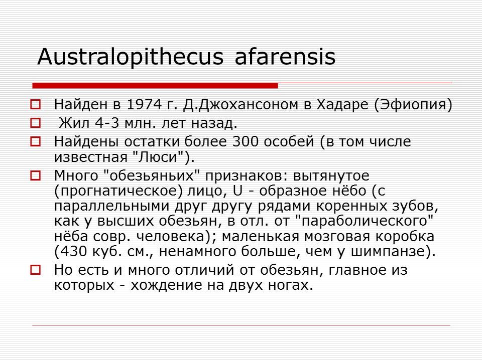 Происхождение и эволюция человека Этапы развития