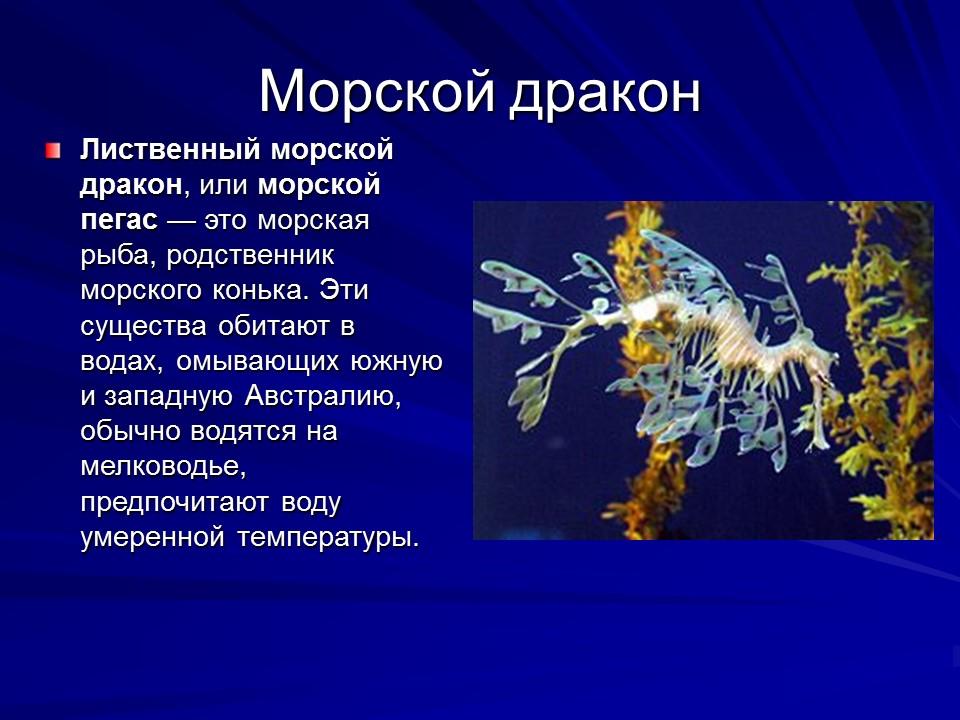 Живущие на дне океана