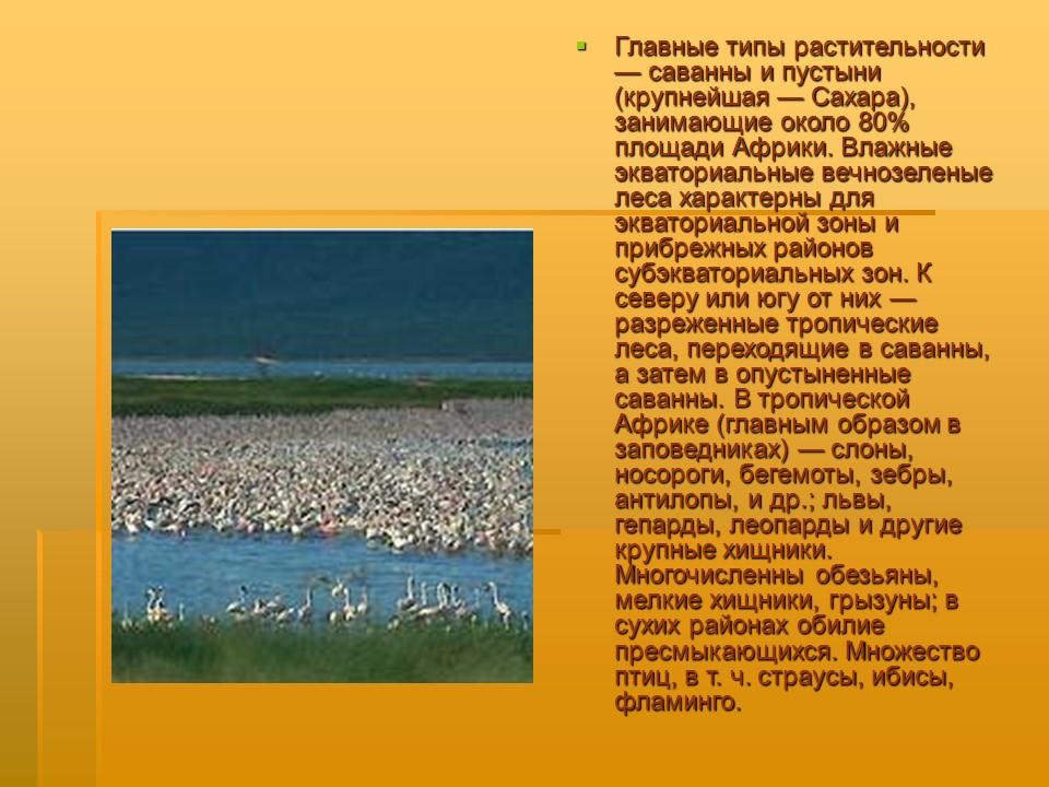 География Африки