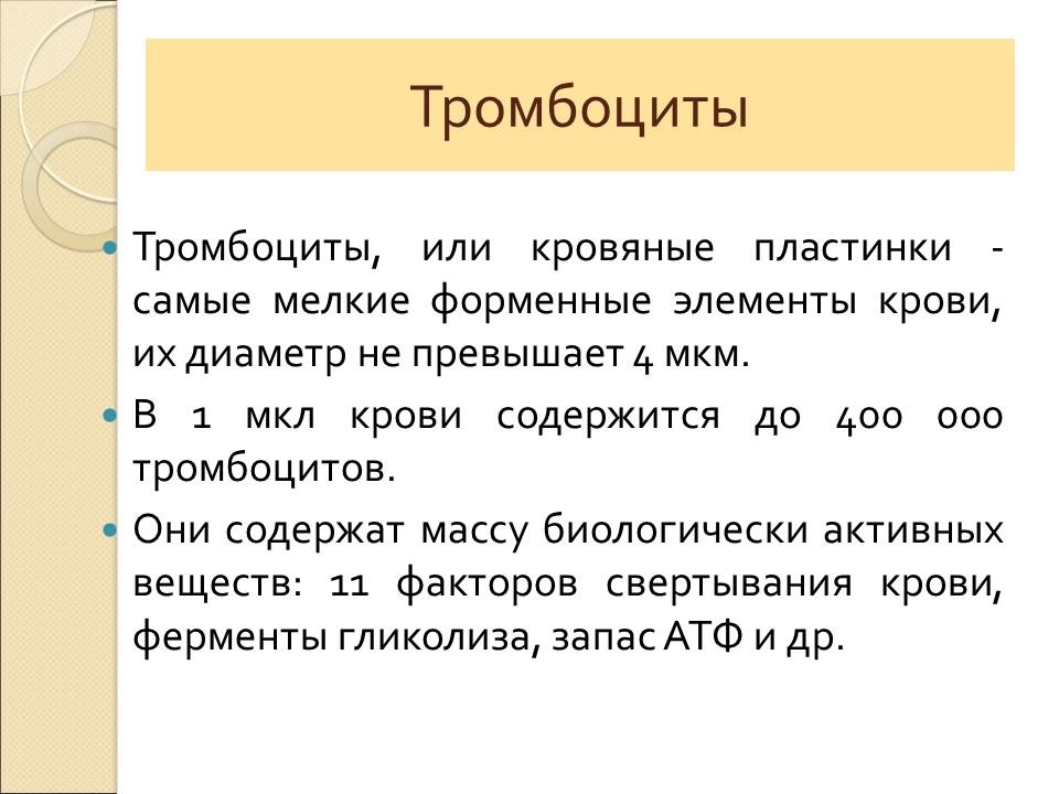 Кровь ее состав и функции