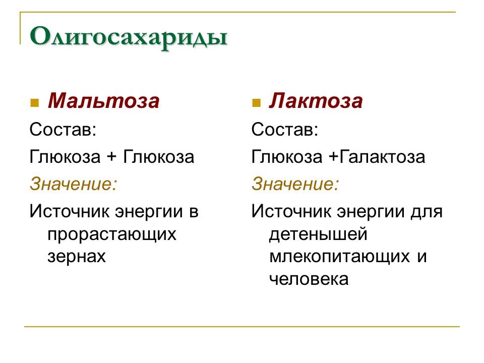 Углеводы Строение и функции