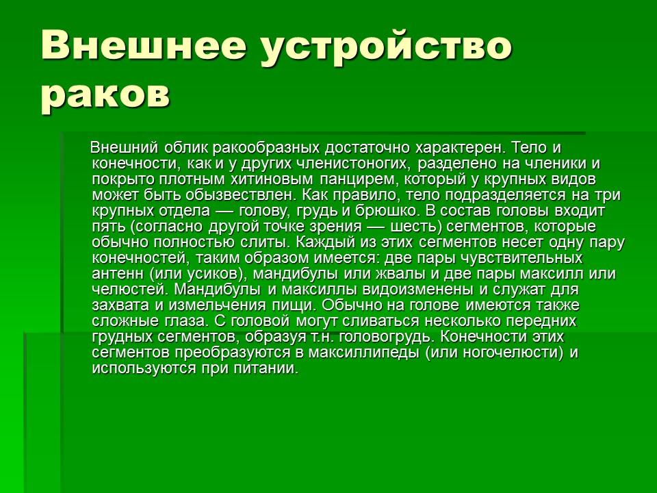 Тип членистоногие