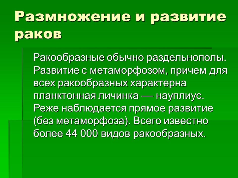 Тип членистоногие