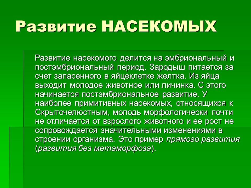 Тип членистоногие