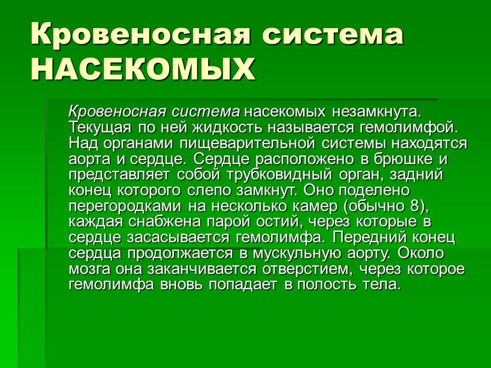 Тип членистоногие