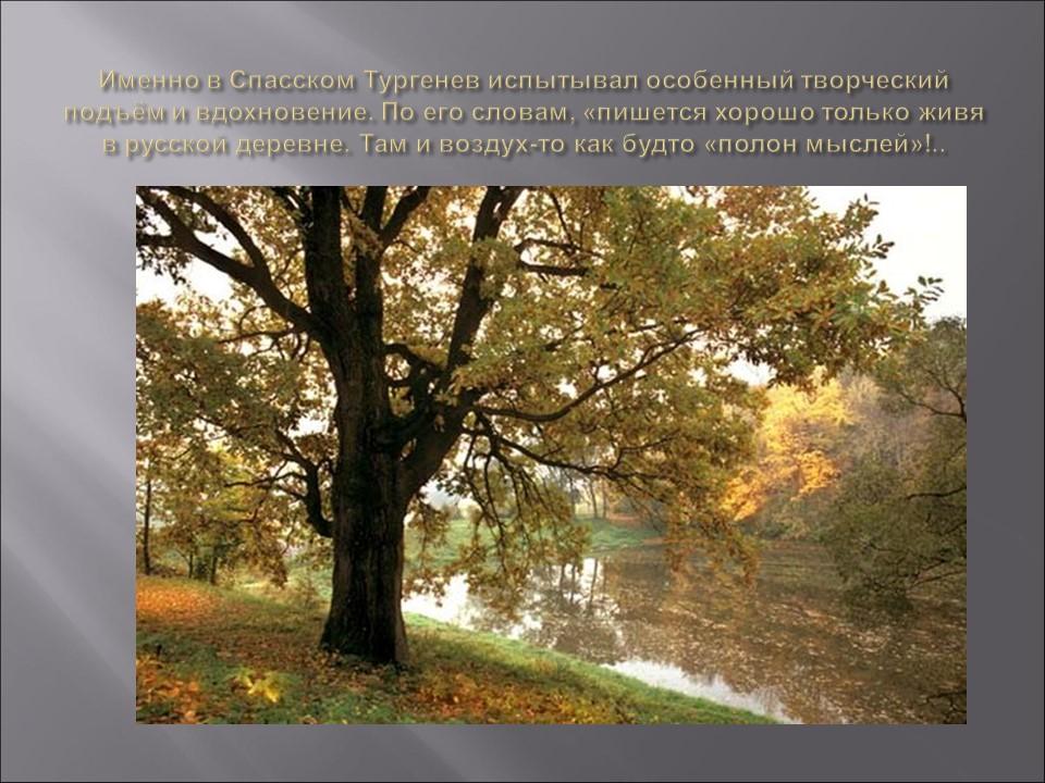 Родина ИС Тургенева