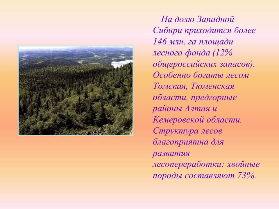 Западно-Сибирский экономический район