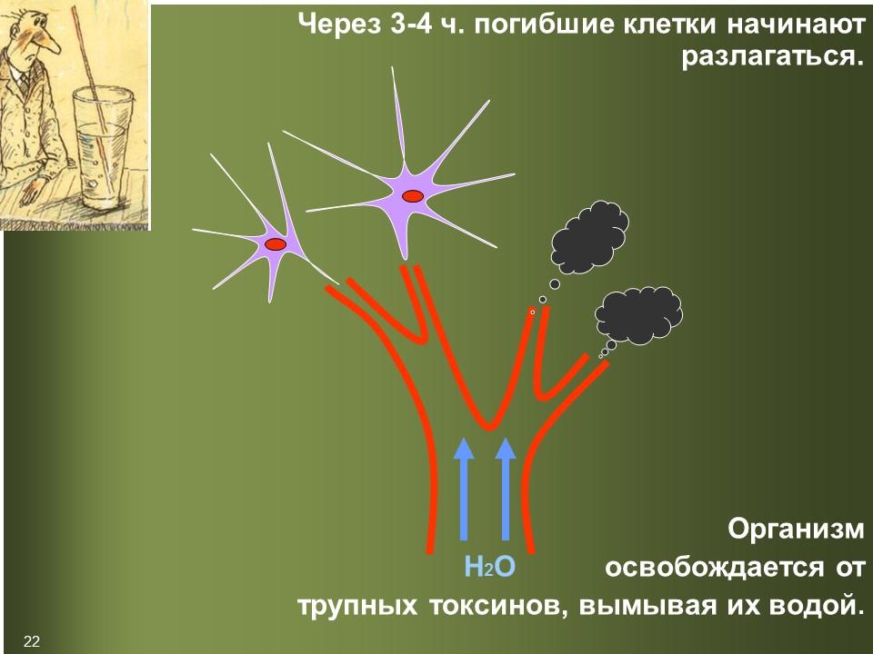 Культура умственного труда 2