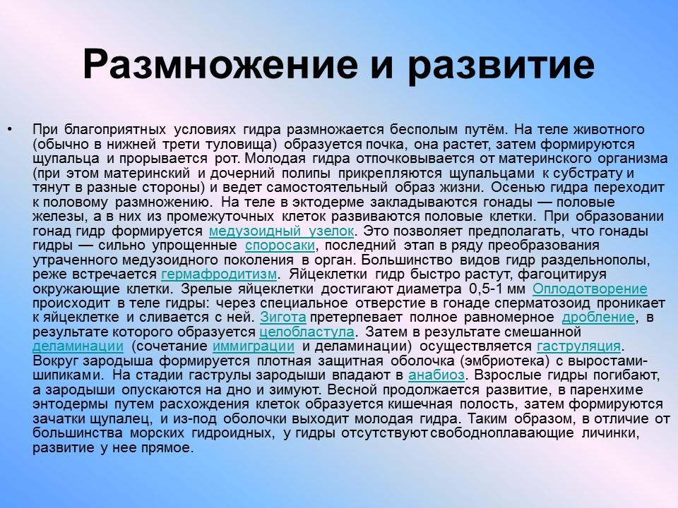 Пресноводный полип гидра