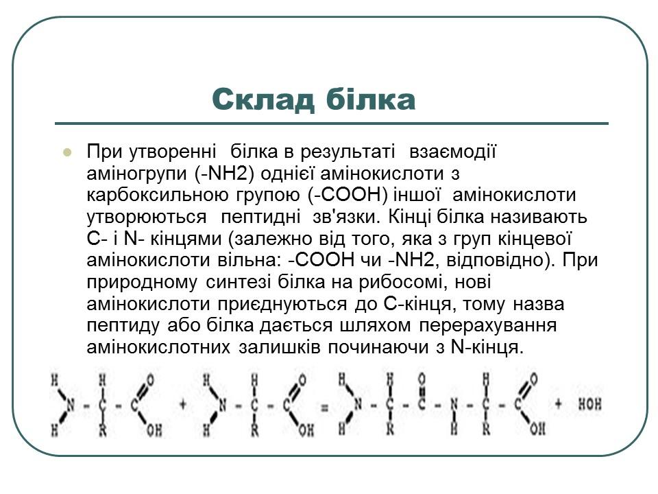 Що таке білки