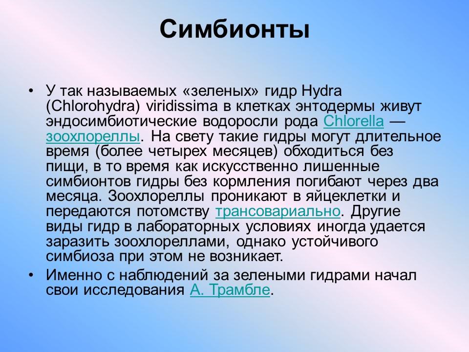 Пресноводный полип гидра