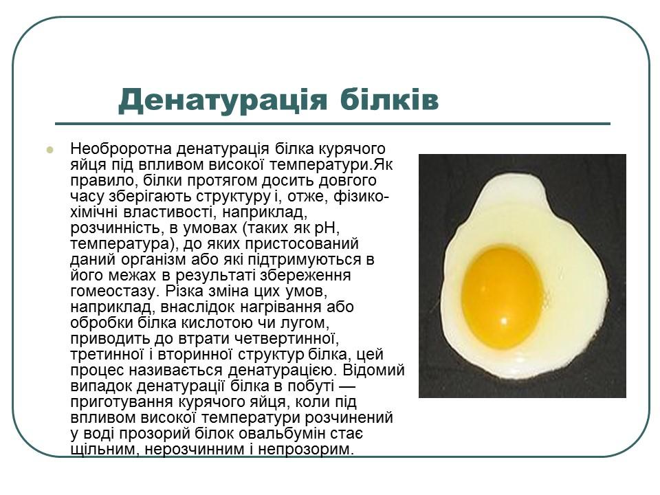 Що таке білки