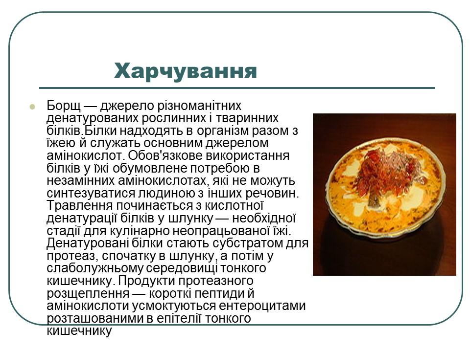 Що таке білки