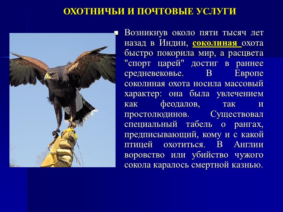 Одомашнивание животных